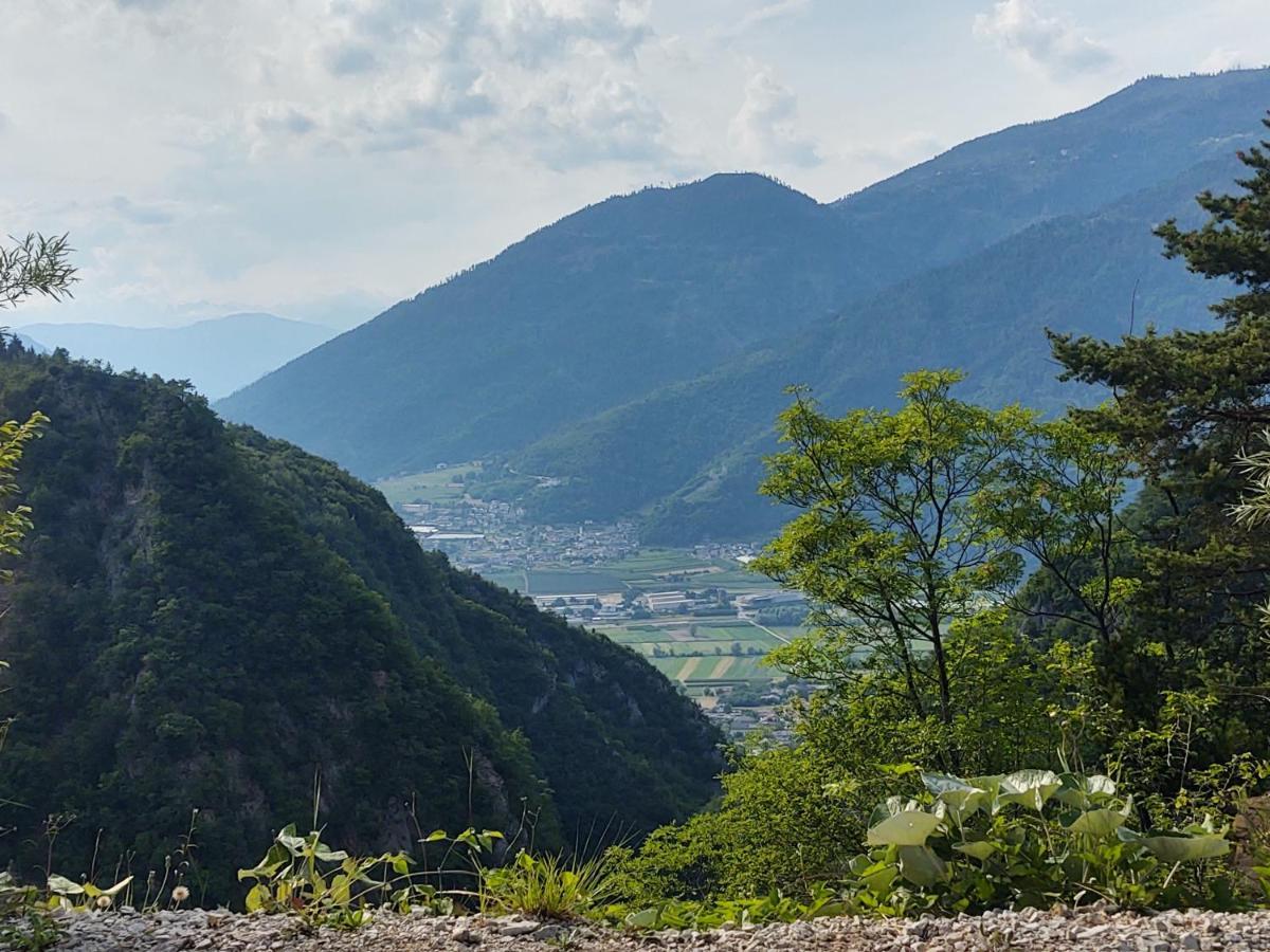 Le Quattro Stagioni Daire Levico Terme Dış mekan fotoğraf