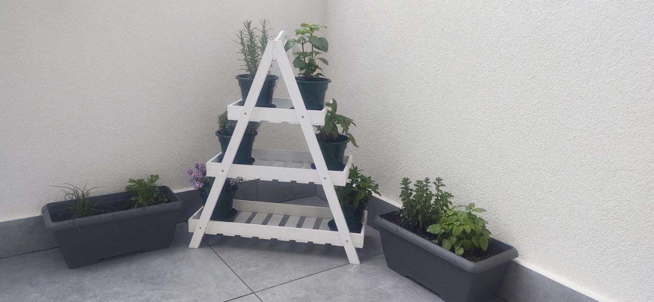 Le Quattro Stagioni Daire Levico Terme Dış mekan fotoğraf
